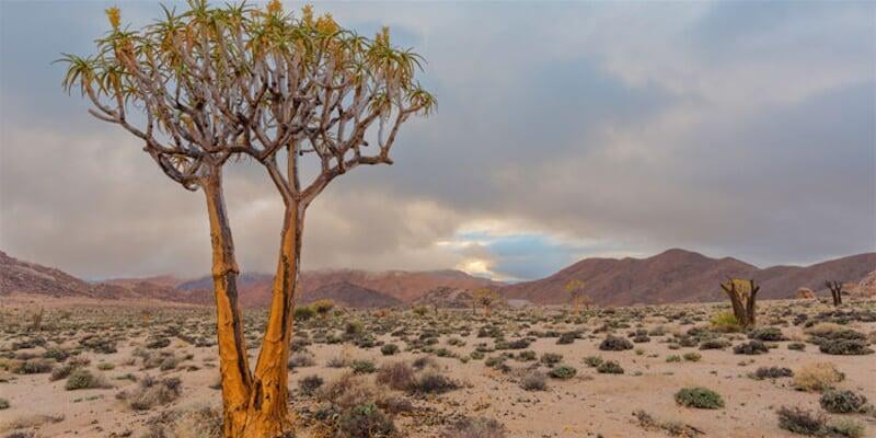 6 NIGHTS - NAMIBIA ESCAPE